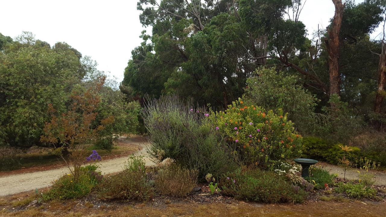 Torquaytoongahra Bnb מראה חיצוני תמונה